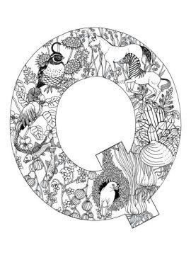 Desenho de Linda Letra Q para Colorir