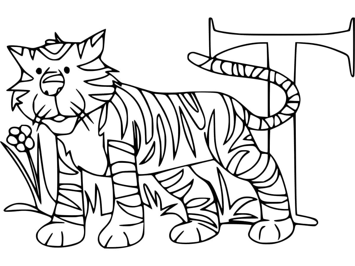 Desenho de Letra T e para Tigre para Colorir