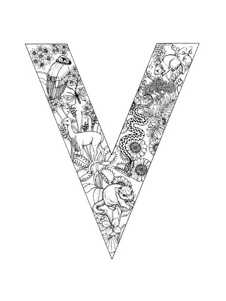 Desenho de Letra V para Crianças para Colorir