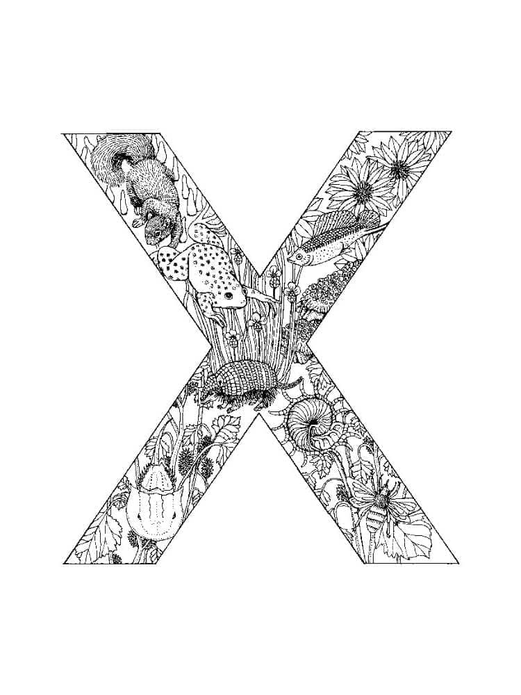 Desenho de Linda Letra X para Colorir