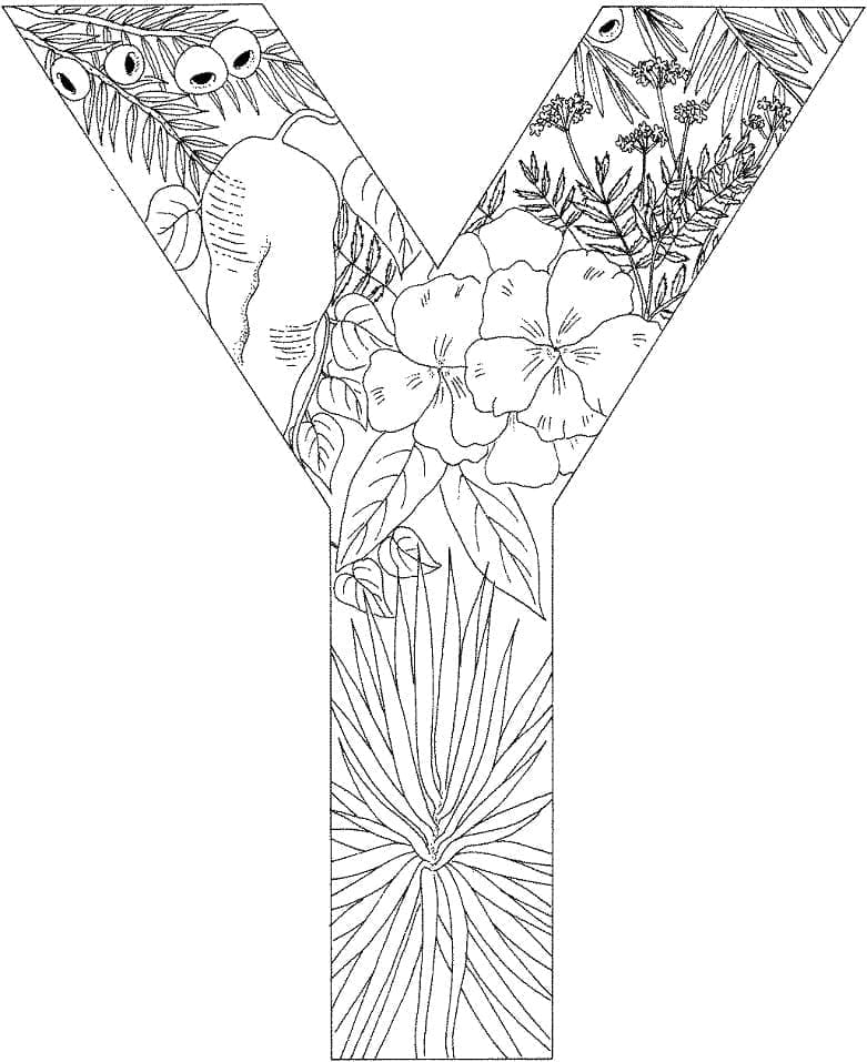 Desenho de Letra Y para Crianças para Colorir