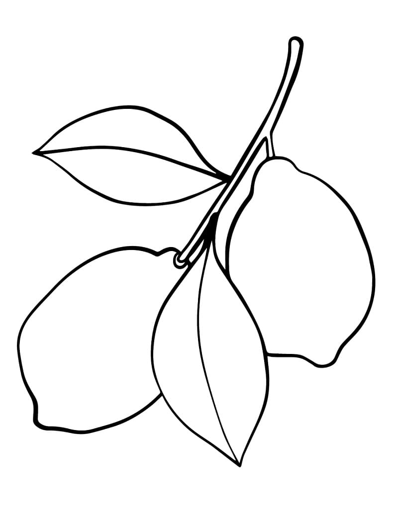 Desenho de Dois Limões para Colorir