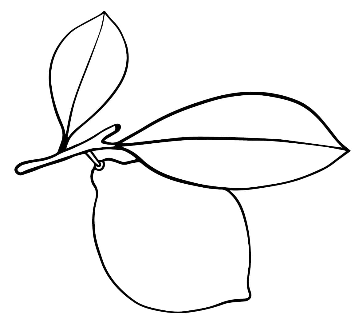 Desenho de Limão Fácil para Colorir