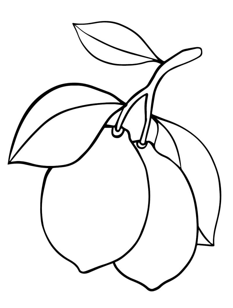 Desenho de Limões para Colorir
