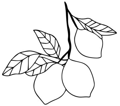 Desenho de três limões para Colorir