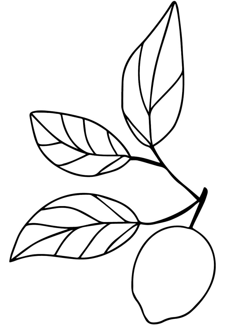 Desenho de um Limão para Colorir