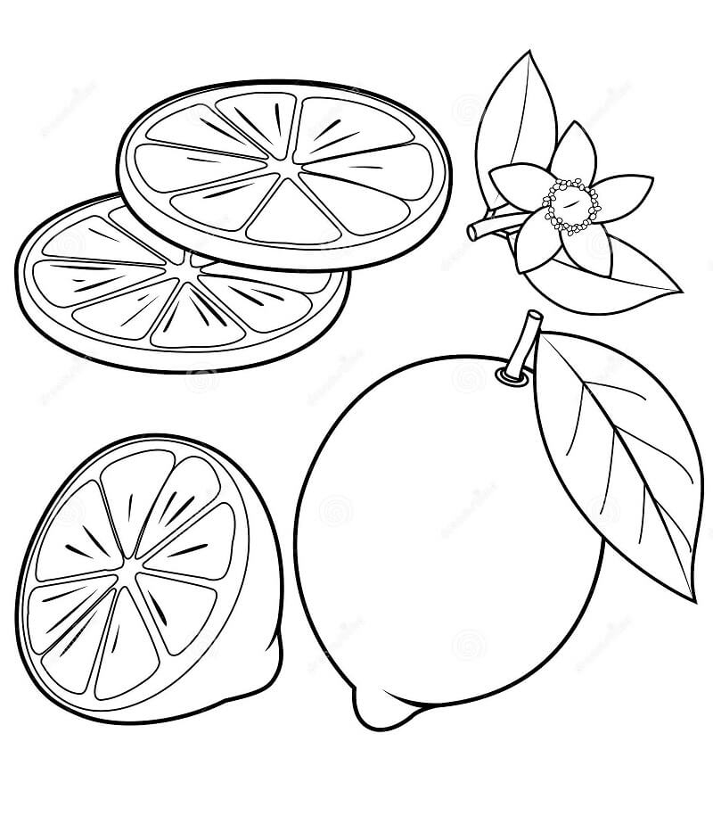 Desenho de Limão Baixar para Colorir