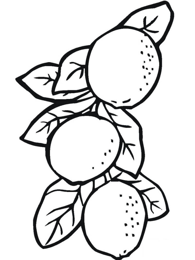 Desenho de Limão para Colorir Online Download