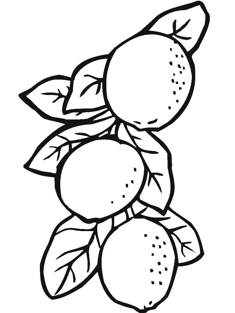 Desenho de Limão para Colorir Online Download