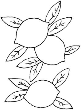 Desenho limões para Colorir