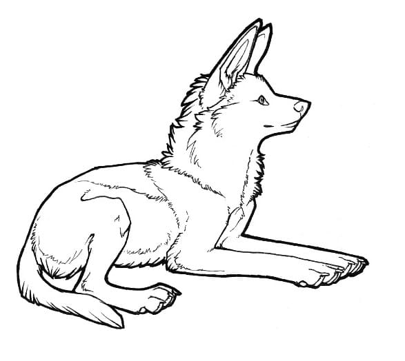 Desenho de Foto de Lobo Guara para Colorir