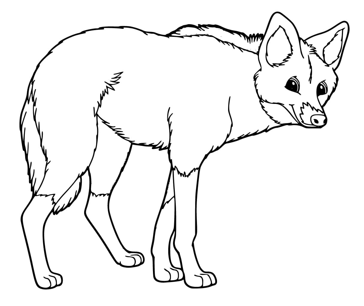 Desenho de Lobo Guara Feliz para Colorir