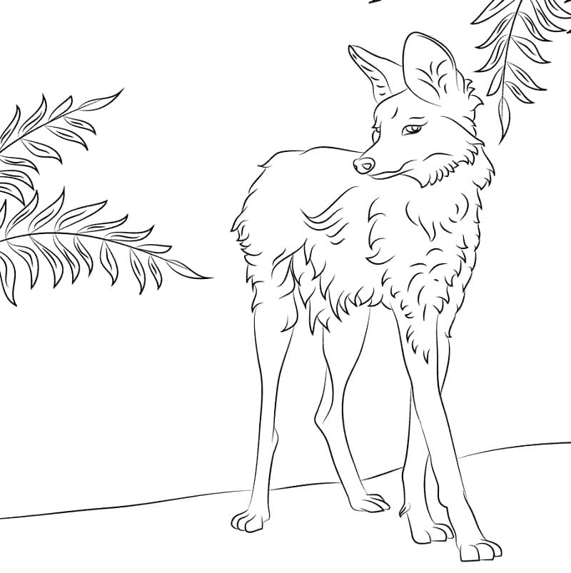 Desenho de Lobo Guara Imprimivel para Colorir