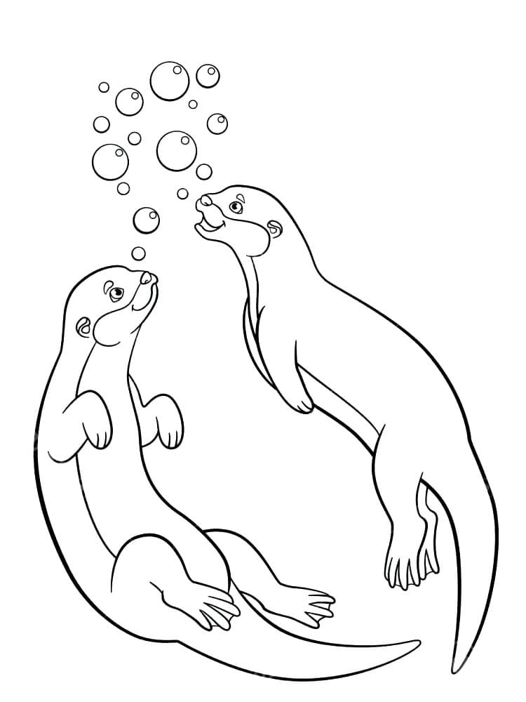 Desenho de Casal de Lontras para Colorir