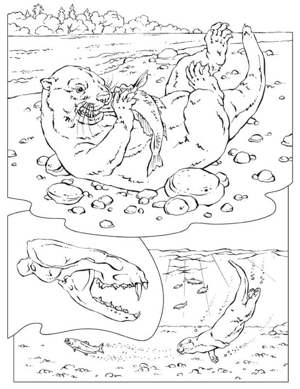 Desenho de Lontra Comendo Peixe para Colorir