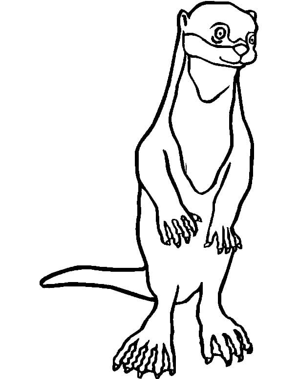 Desenho de Lontra em Pé para Colorir