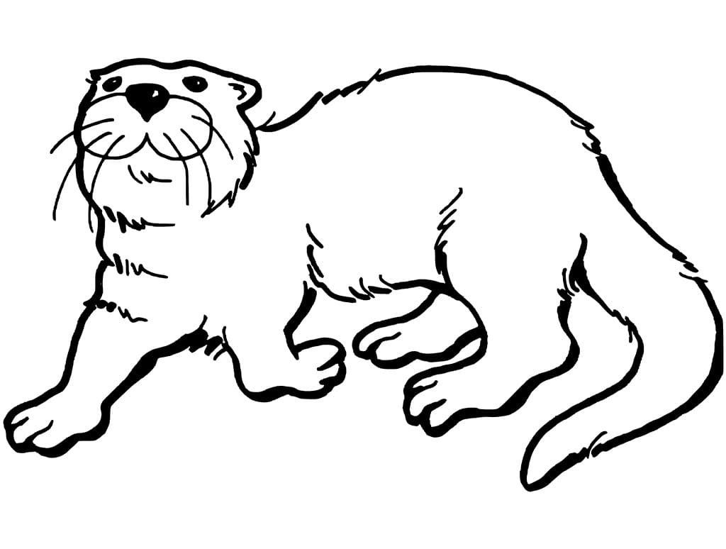 Desenho de Lontra Feliz para Colorir