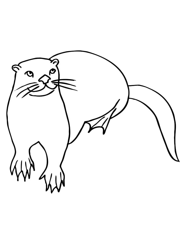 Desenho de Lontra para Crianças para Colorir
