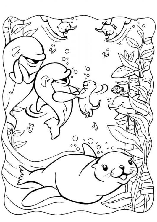 Desenho de Lontras e Golfinhos para Colorir