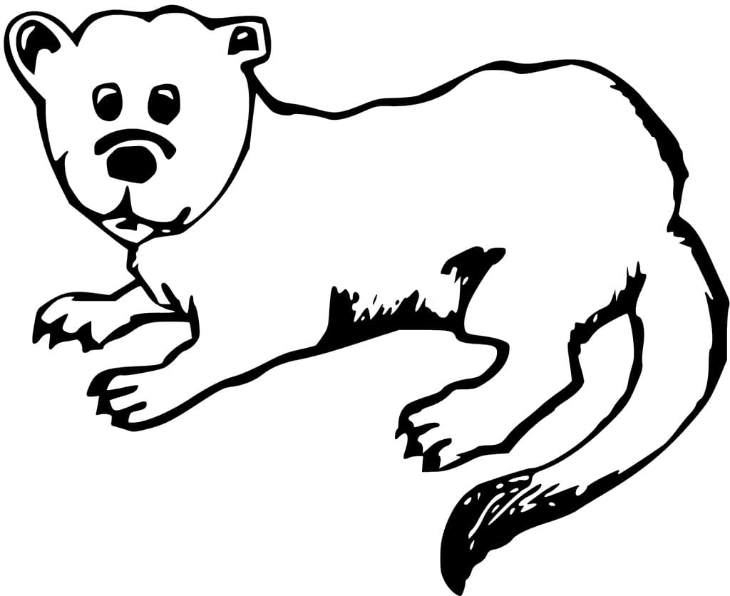 Desenho de Pequena Lontra para Colorir
