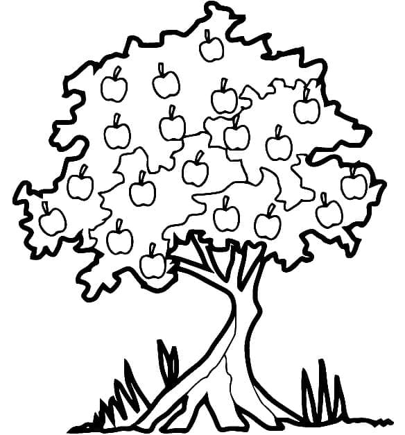 Desenho de Maçã Imprimivel para Colorir