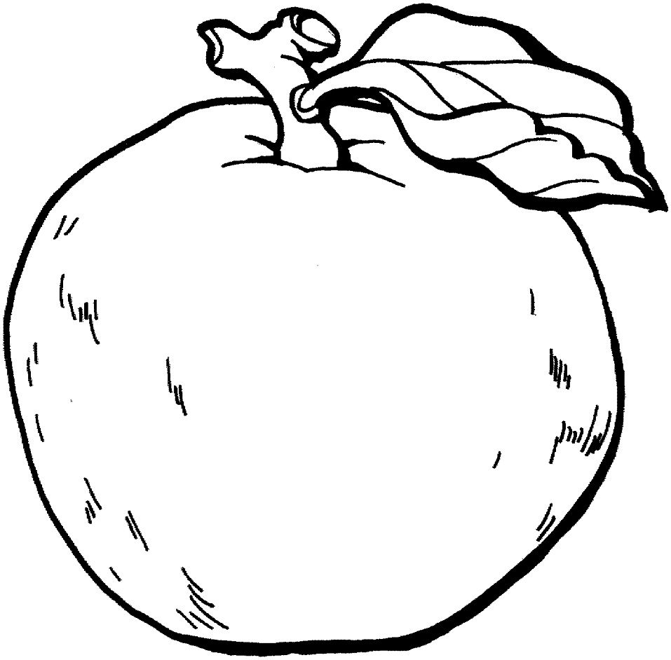 Desenho de Maçã Fácil de Desenhar