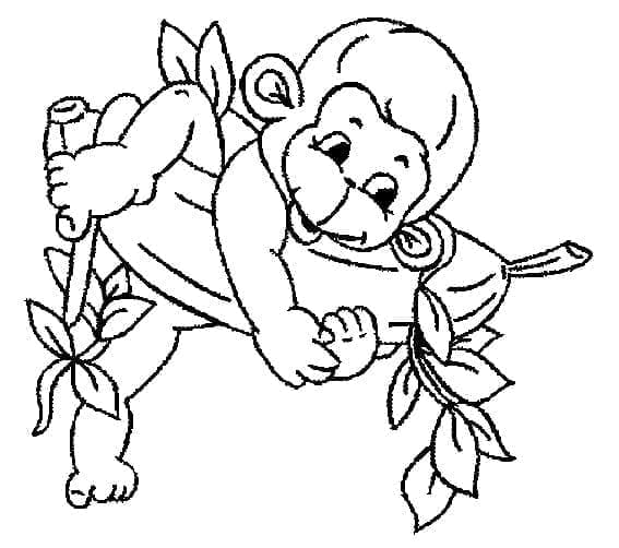 Desenho de Macaquinho para Colorir