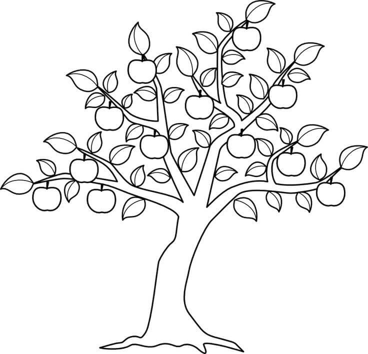 Desenho de Árvore Macieira para Colorir Divertido