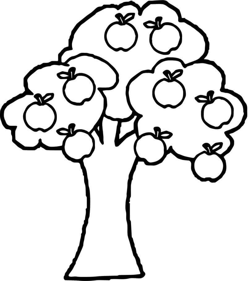 Desenho de Árvore Macieira para Colorir Download Pdf