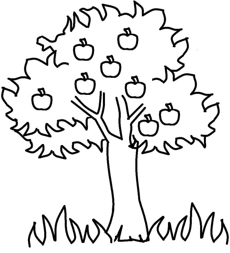 Desenho de Árvore Macieira para Colorir e Pintar