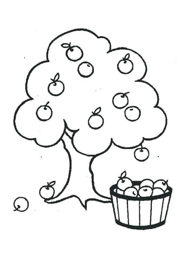 Desenho de Árvore Macieira para Colorir Fácil Pdf