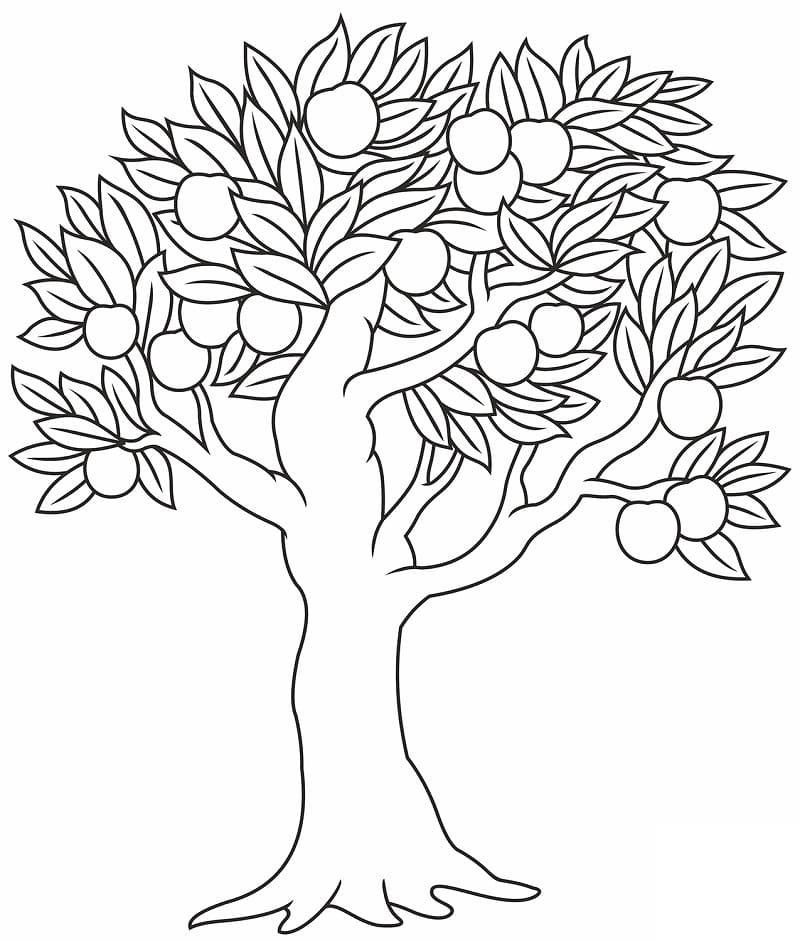 Desenho de Árvore Macieira para Colorir Giz de Cera