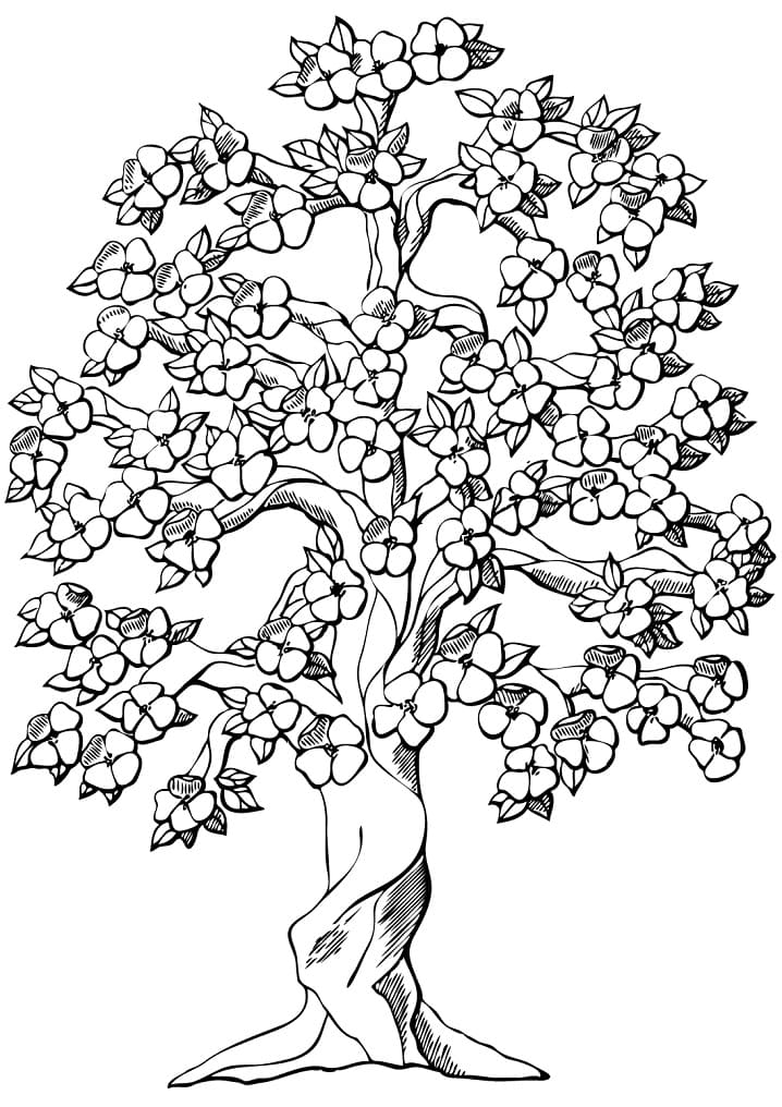 Desenho de Árvore Macieira para Colorir Pdf
