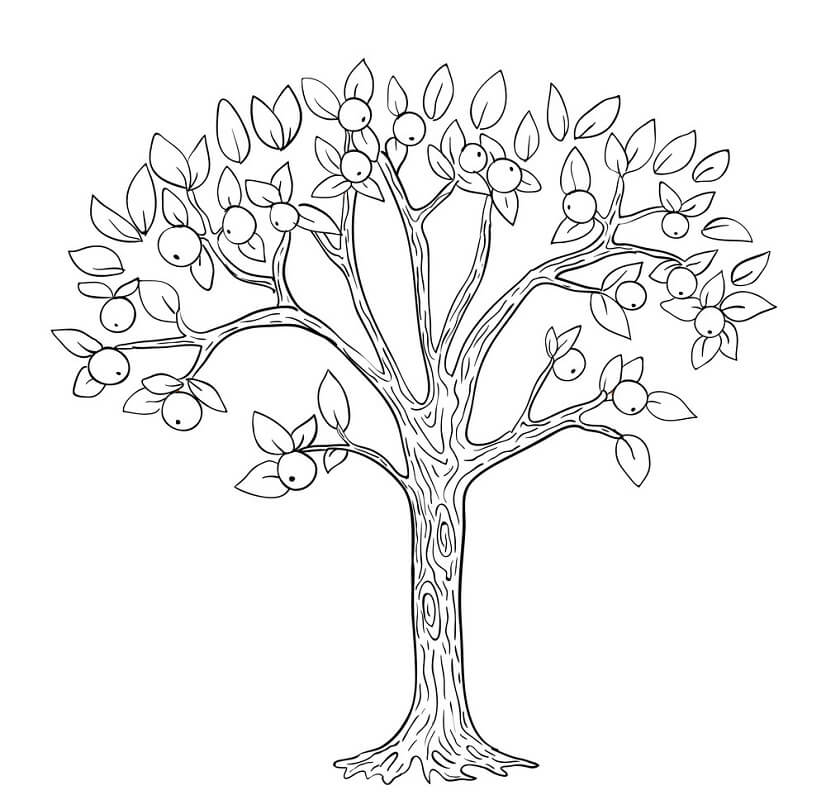 Desenho de Macieira para Colorir Baixar