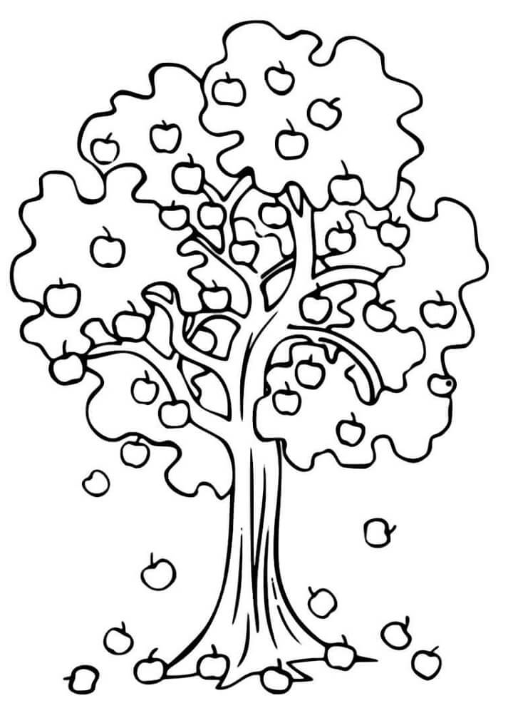 Desenho de Macieira para Colorir Crianças