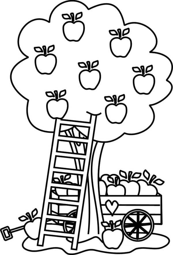Desenho de Macieira para Colorir Download Pdf
