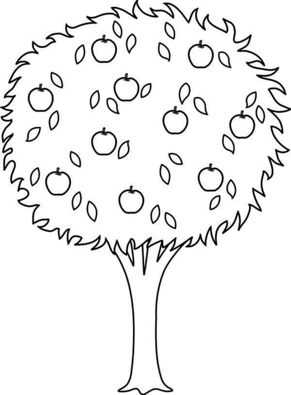 Desenho de Macieira para Colorir e Pintar