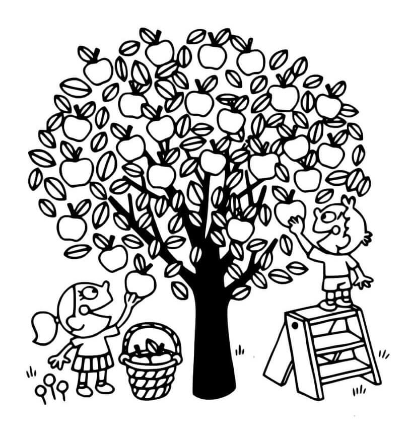 Desenho de Macieira para Colorir Fácil Pdf