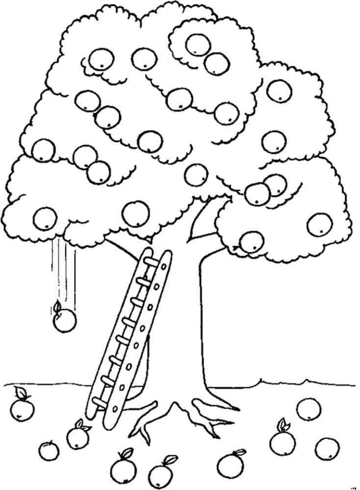 Desenho de Macieira para Colorir Giz de Cera