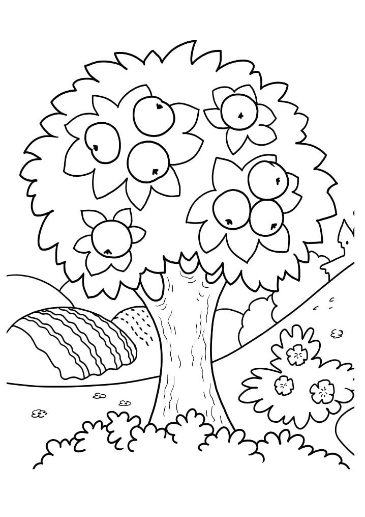Desenho de Macieira para Colorir Lápis de Cor