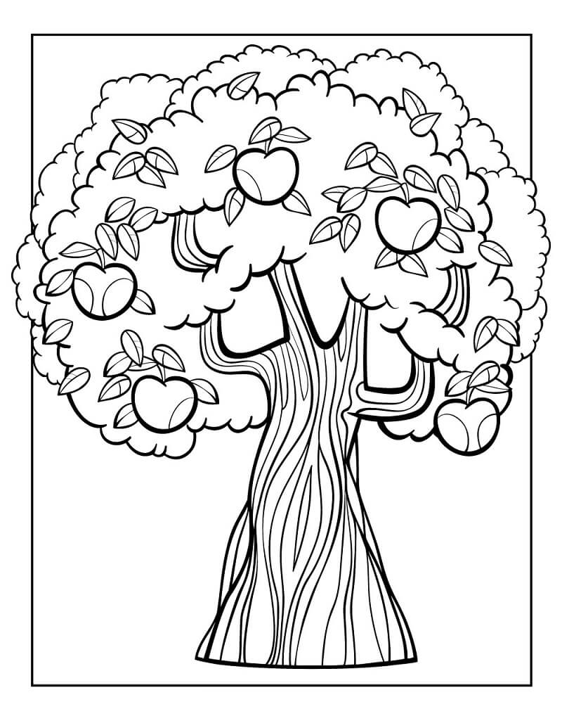 Desenho de Macieira para Colorir Online Download