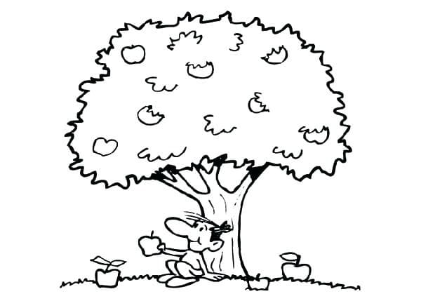 Desenho de Macieira para Colorir Simples