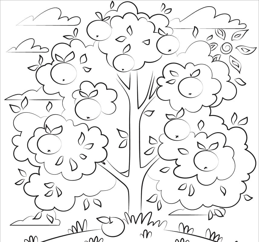 Desenho de Macieira para Imprimir e Colorir