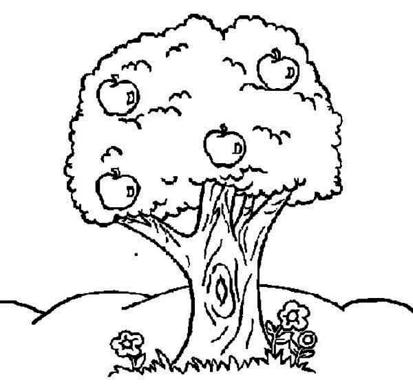 Desenho de Macieira para Pintar com Tinta Guache