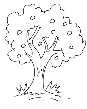 Desenho Imprimível de árvore Macieira para Colorir e Pintar