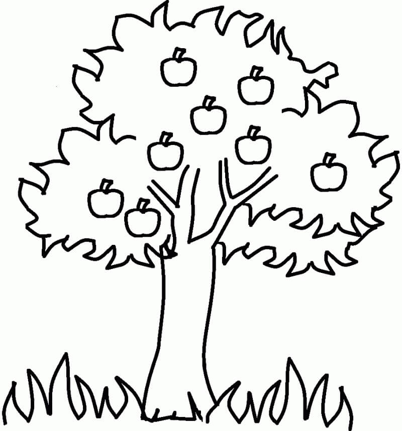 Desenhos de Macieira para Colorir