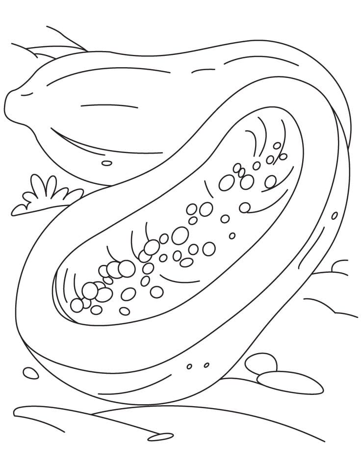 Desenho de Mamão para Colorir Giz de Cera