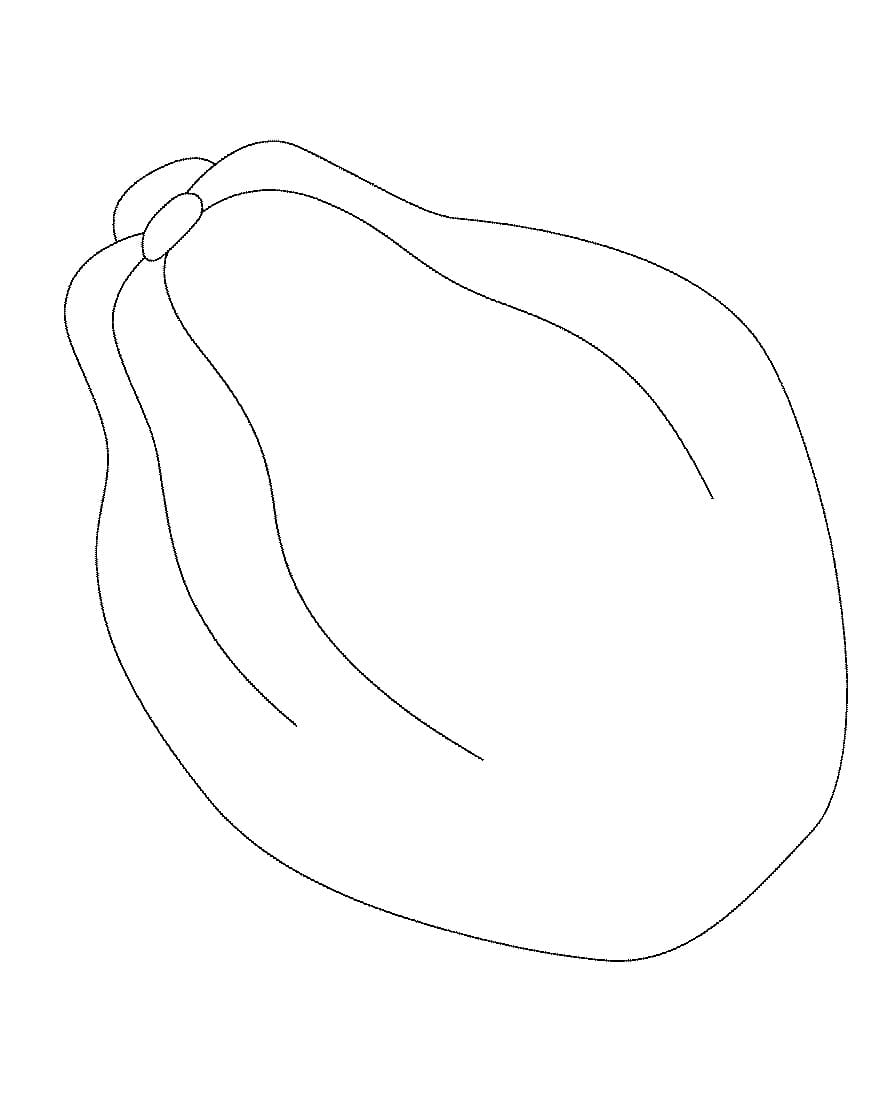 Desenho de Mamão para Colorir Lápis de Cor