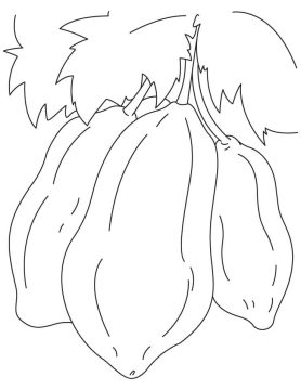 Desenho de mamão para Colorir Pdf