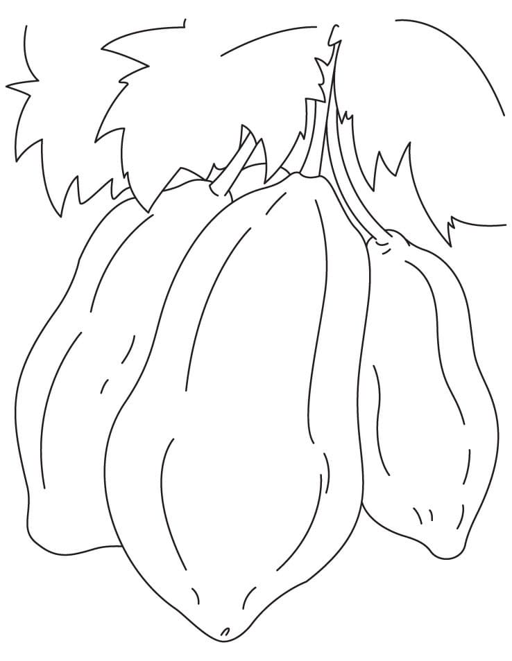 Desenho de Mamão para Colorir Pdf